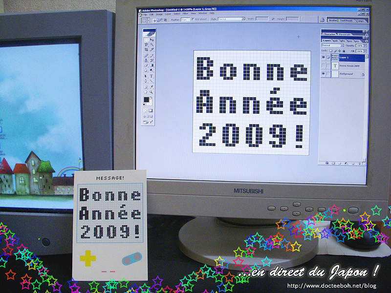 bonneannee2009.jpg